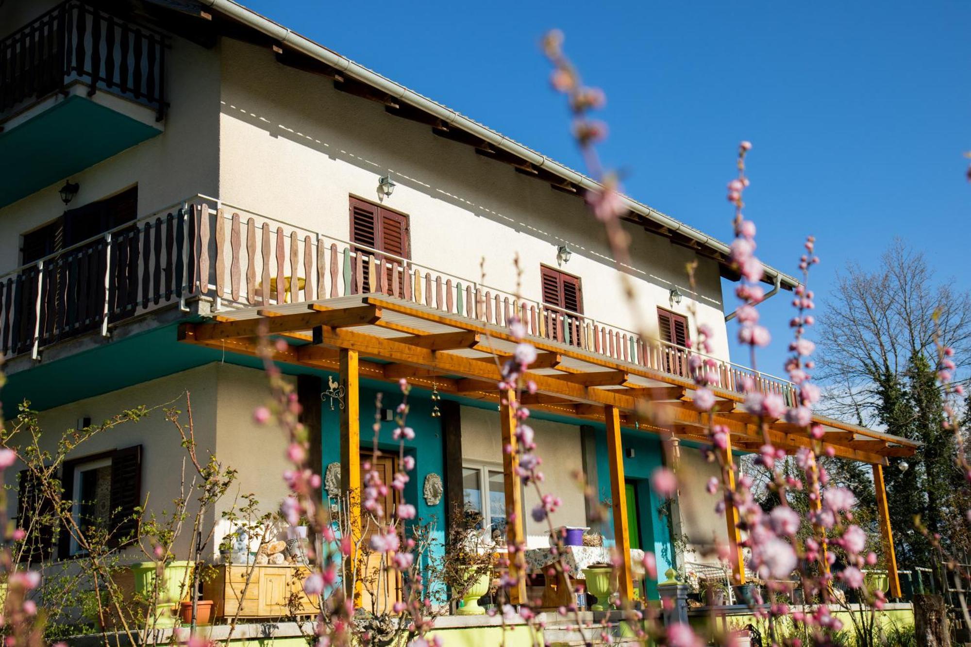 Farm Stay Synergia - Hiden Treasure Pazin Exterior photo